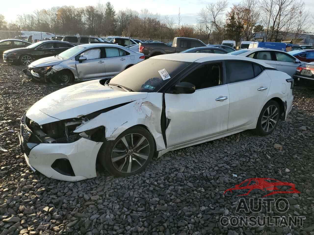 NISSAN MAXIMA 2019 - 1N4AA6AVXKC384715