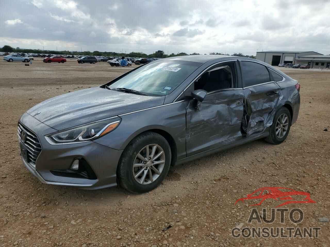 HYUNDAI SONATA 2019 - 5NPE24AF2KH746479