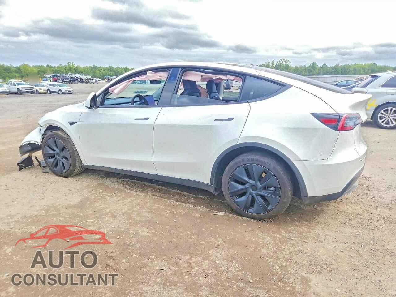 TESLA MODEL Y 2024 - 7SAYGDEE6RF169810