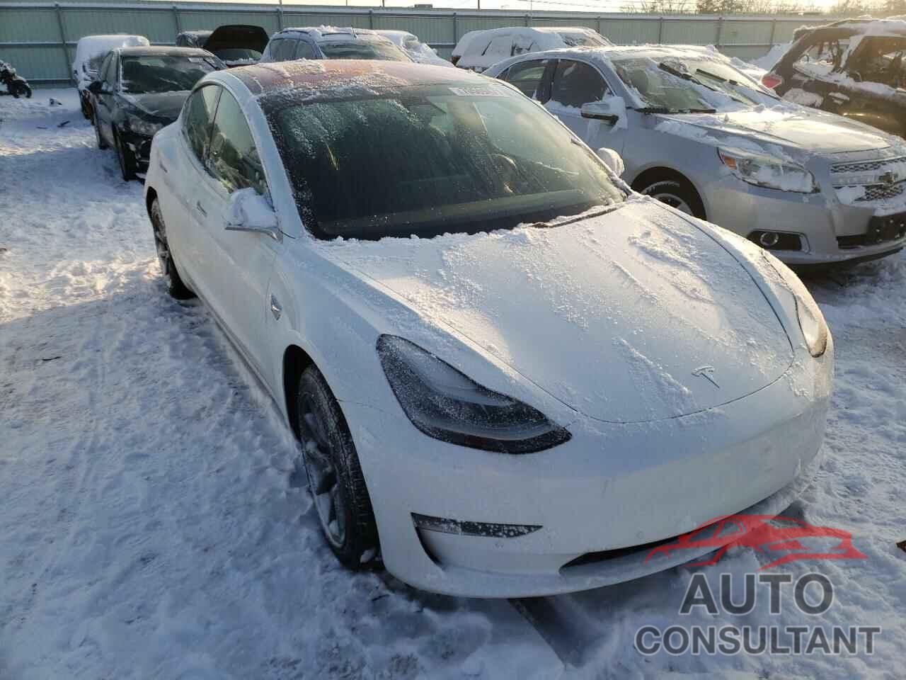 TESLA MODEL 3 2019 - 5YJ3E1EA2KF299856