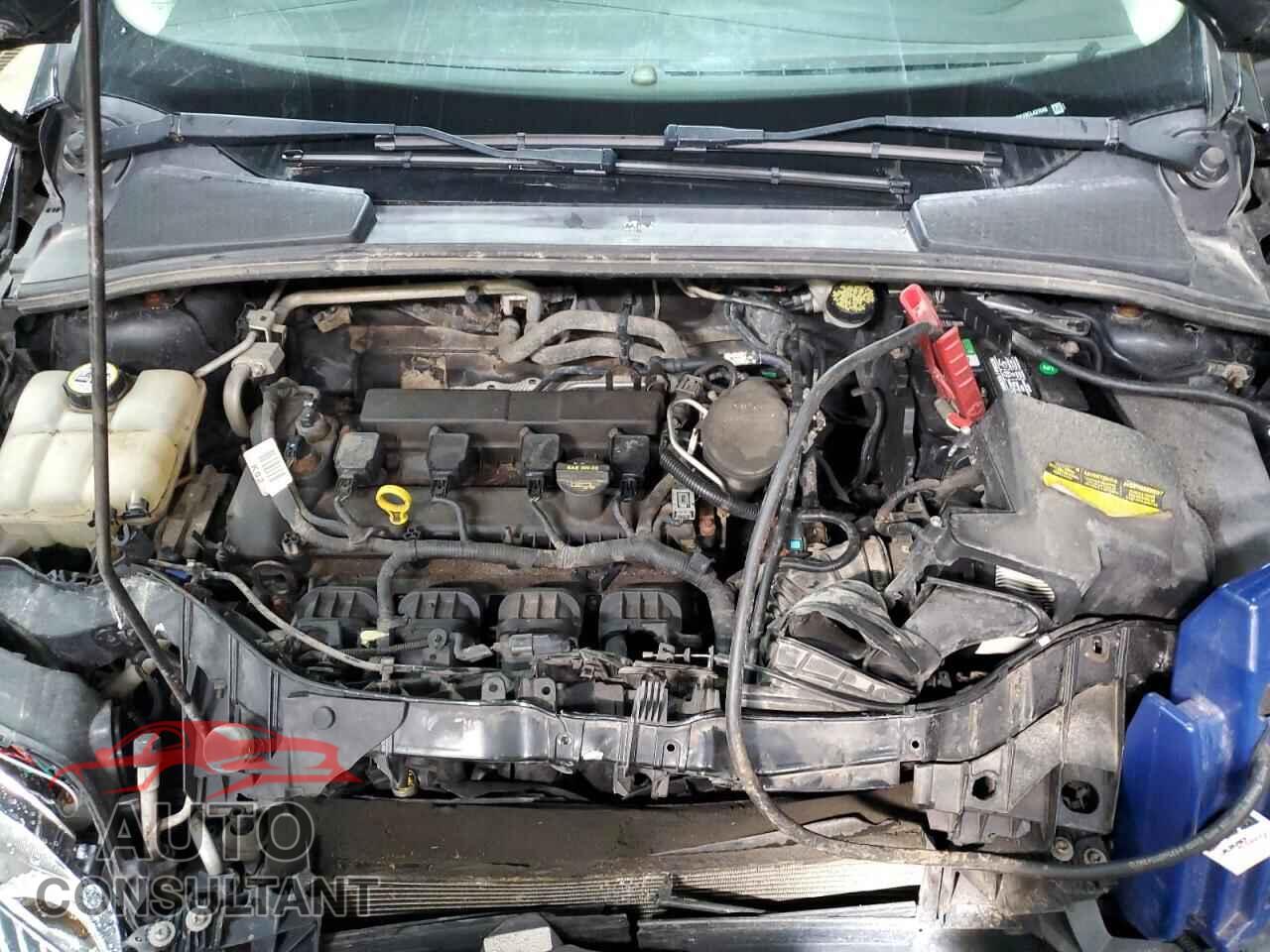 FORD FOCUS 2012 - 1FAHP3F29CL431048