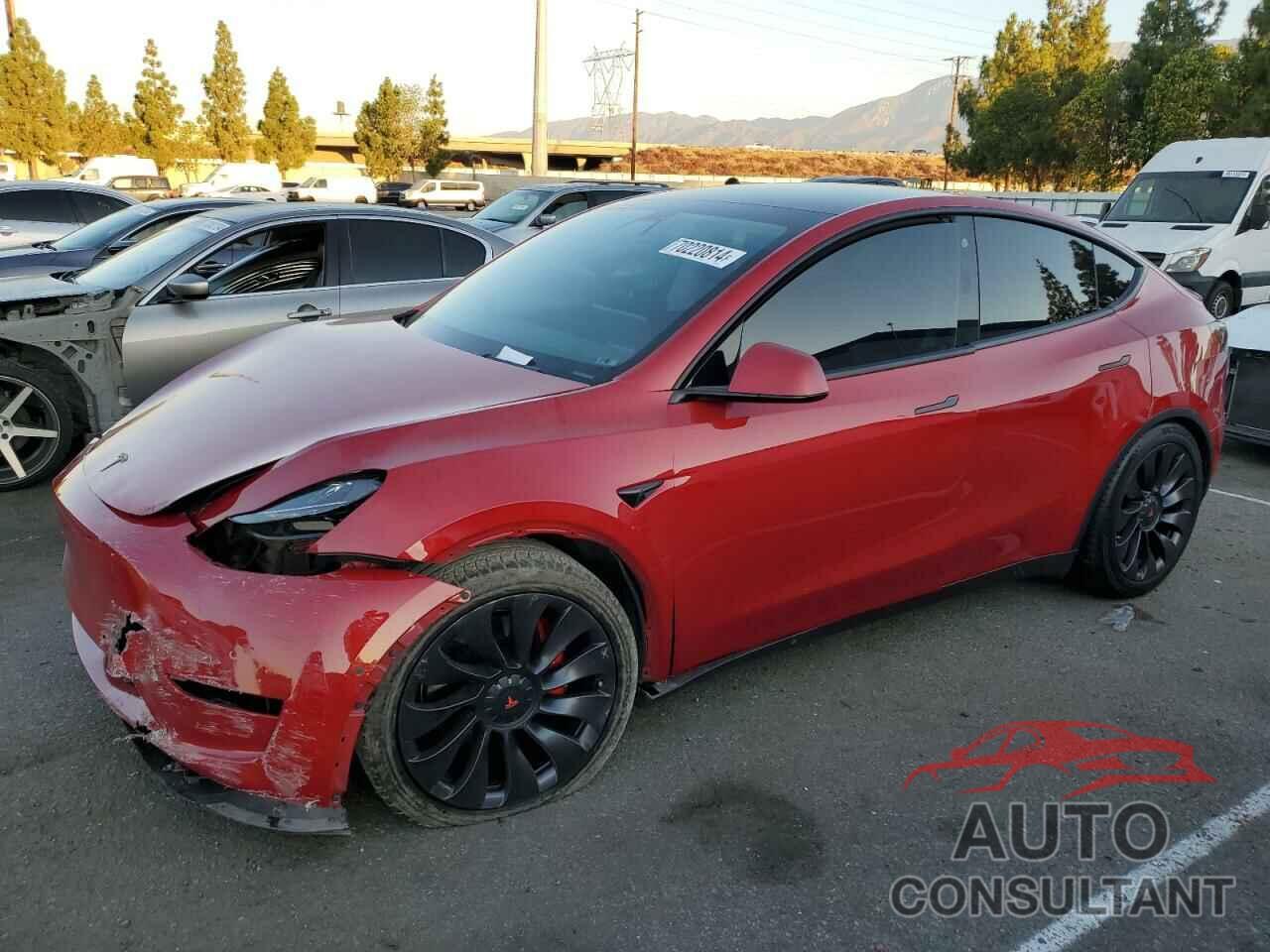 TESLA MODEL Y 2021 - 5YJYGDEF5MF251977