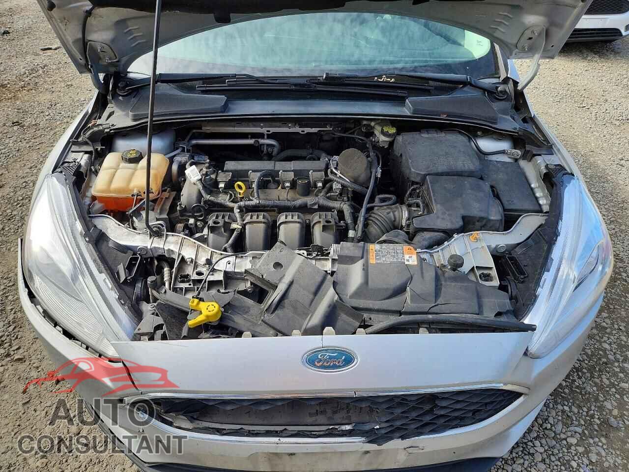 FORD FOCUS 2016 - 1FADP3K24GL262776