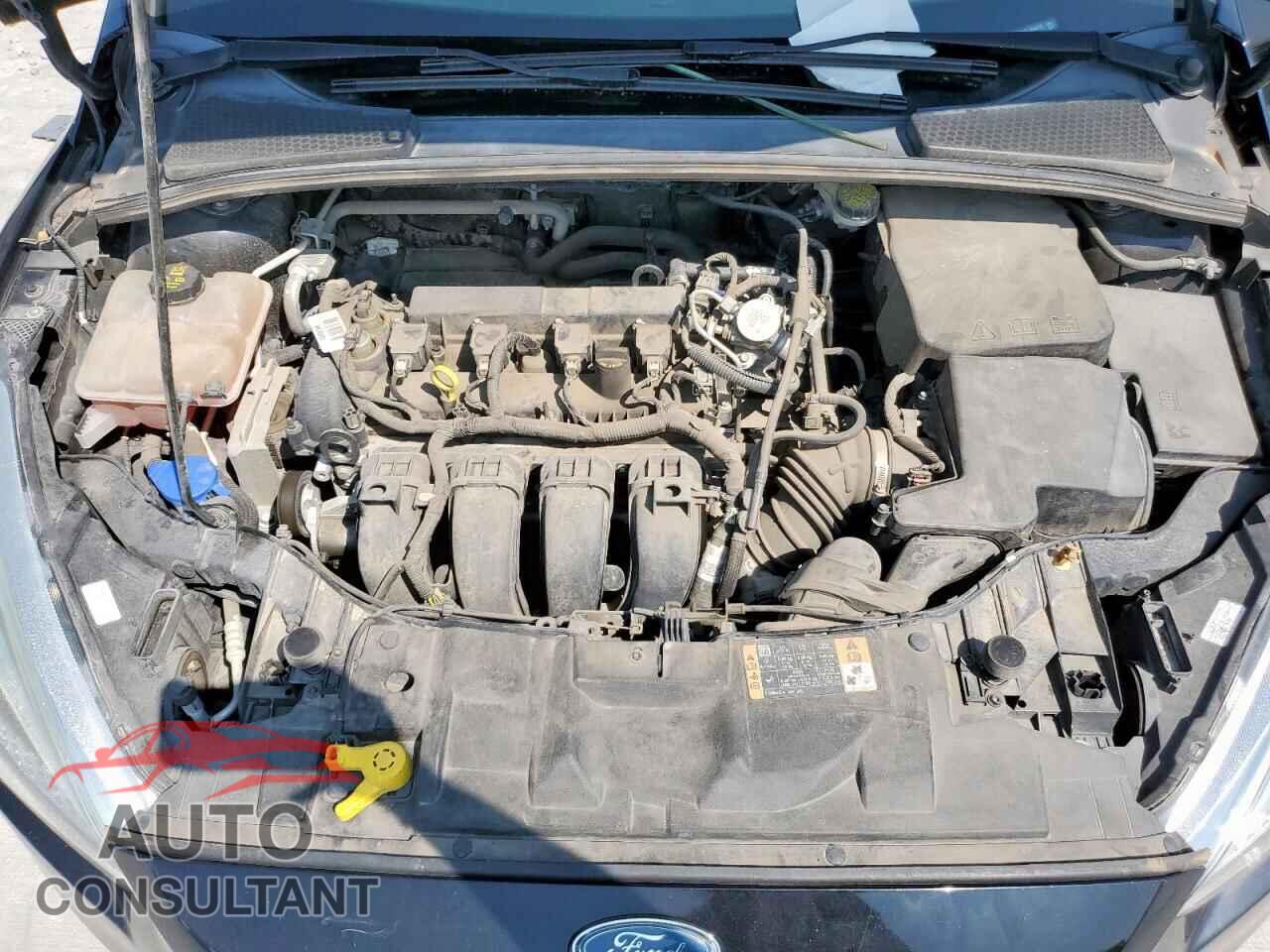 FORD FOCUS 2016 - 1FADP3E24GL404412