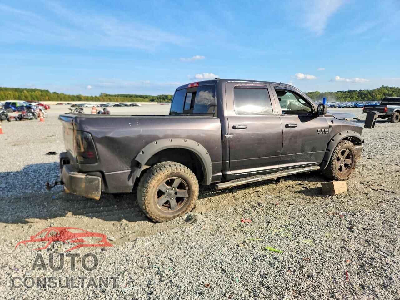 DODGE RAM 1500 2009 - 1D3HB13P19S758837