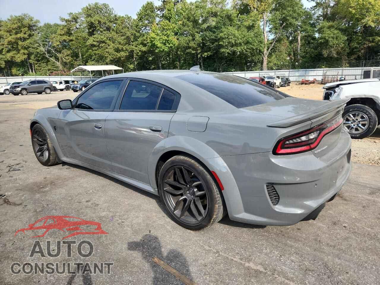 DODGE CHARGER 2023 - 2C3CDXL95PH682811
