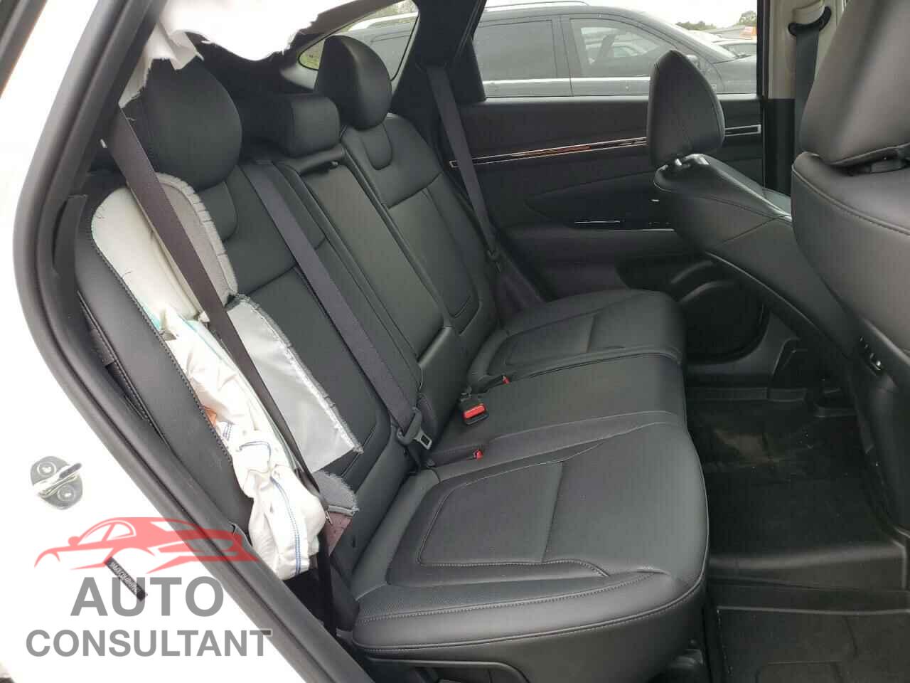 HYUNDAI TUCSON 2024 - 5NMJECDE4RH395102