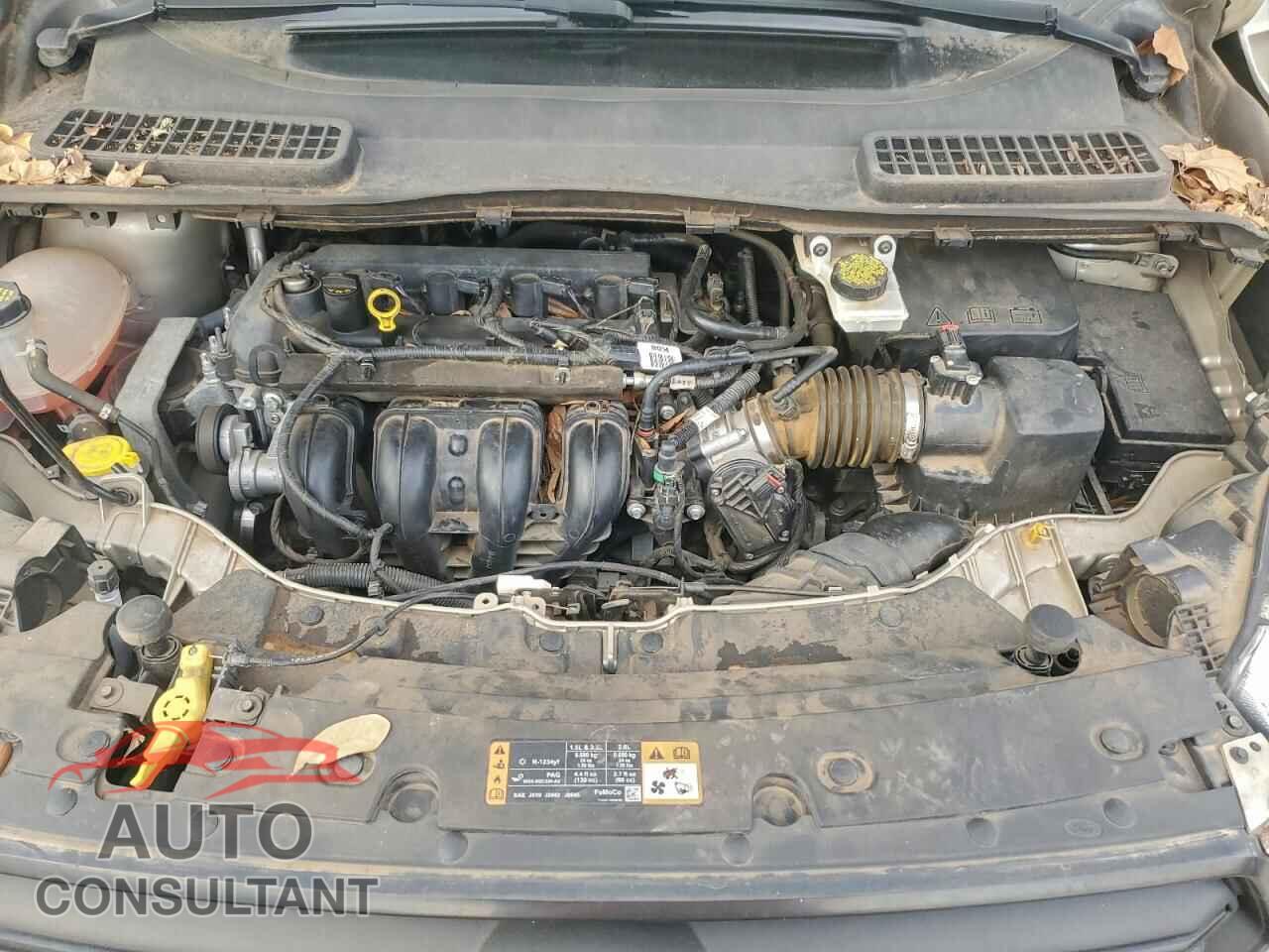FORD ESCAPE 2017 - 1FMCU0F7XHUC31381