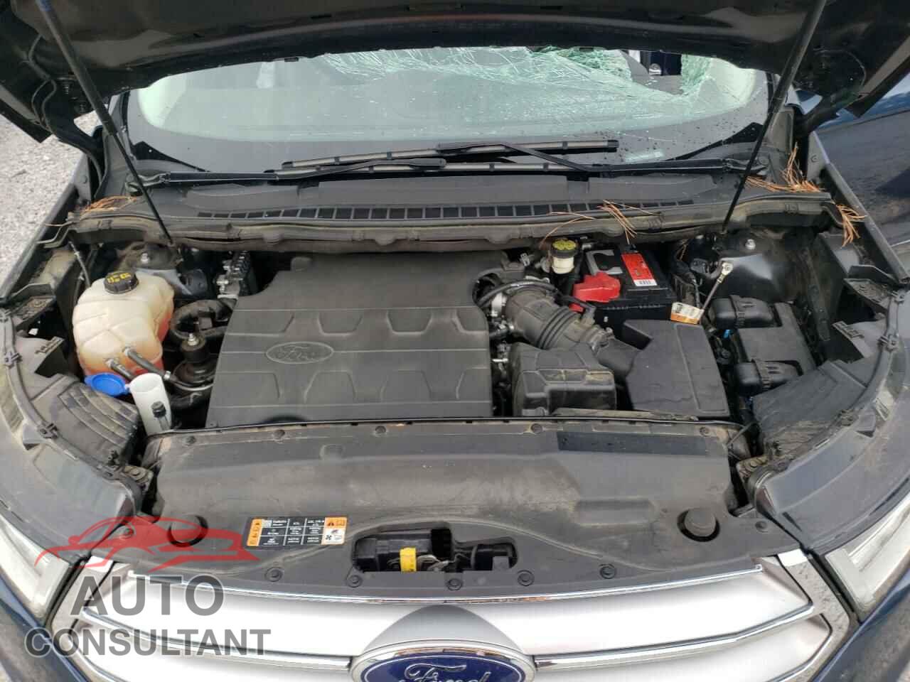 FORD EDGE 2017 - 2FMPK3K81HBB45177