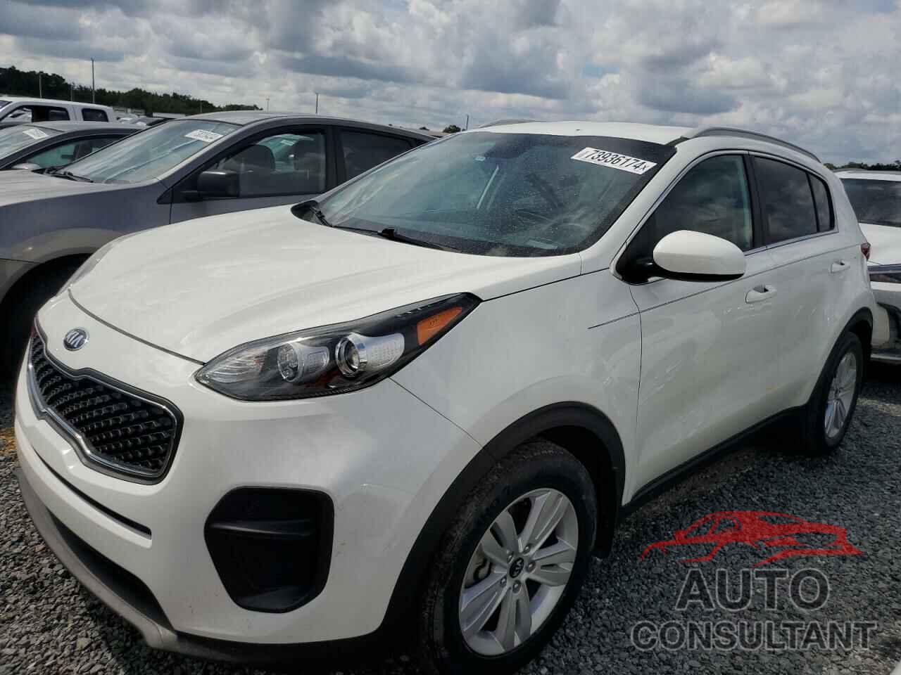 KIA SPORTAGE 2019 - KNDPM3AC7K7618987