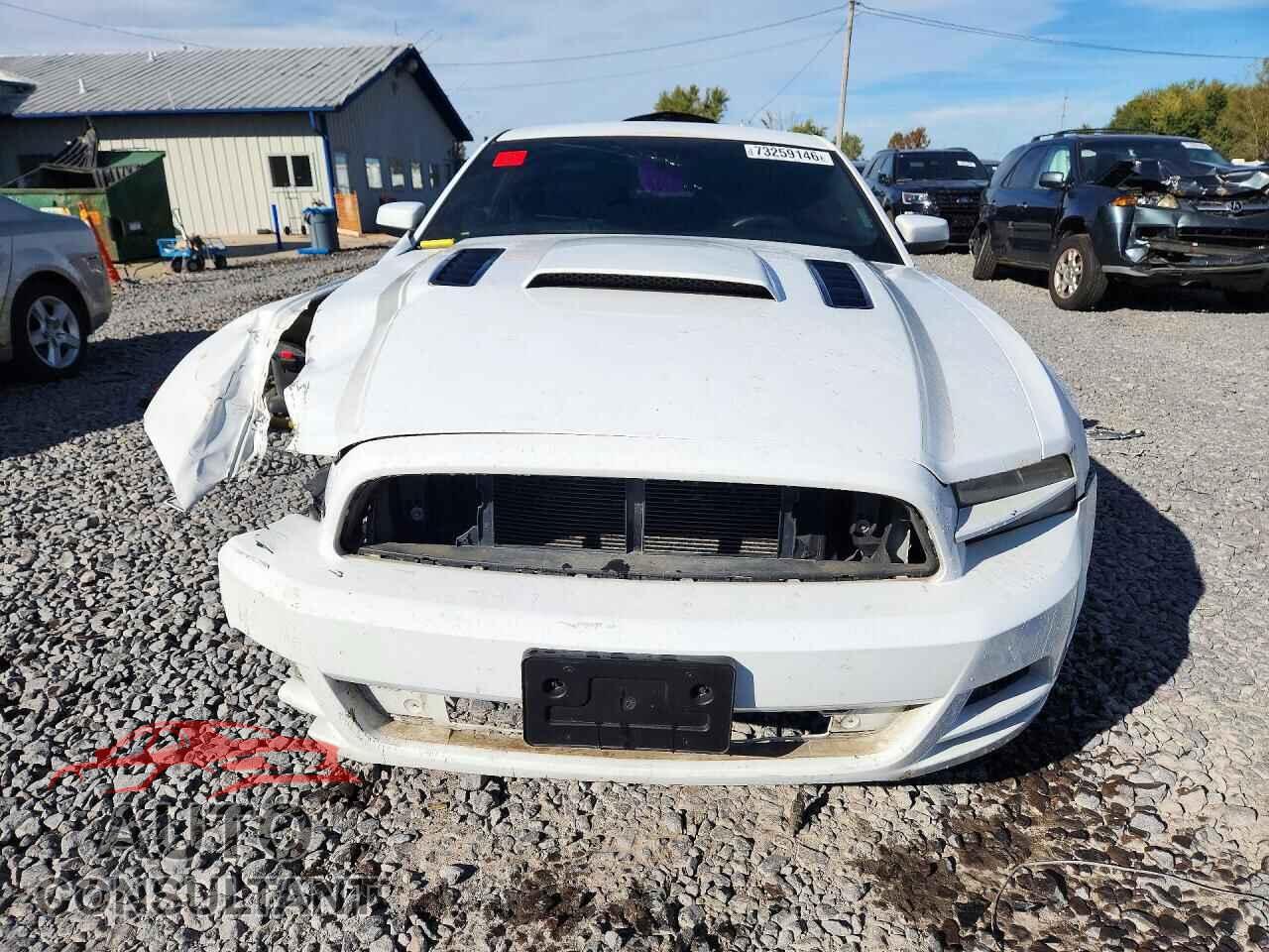 FORD MUSTANG 2014 - 1ZVBP8CF4E5235561