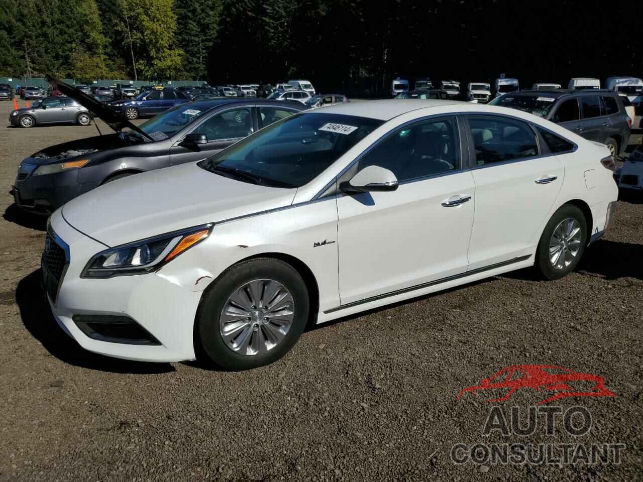 HYUNDAI SONATA 2017 - KMHE24L36HA063070