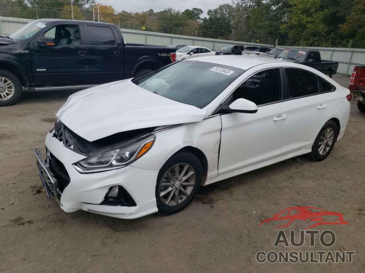 HYUNDAI SONATA 2019 - 5NPE24AF1KH784513