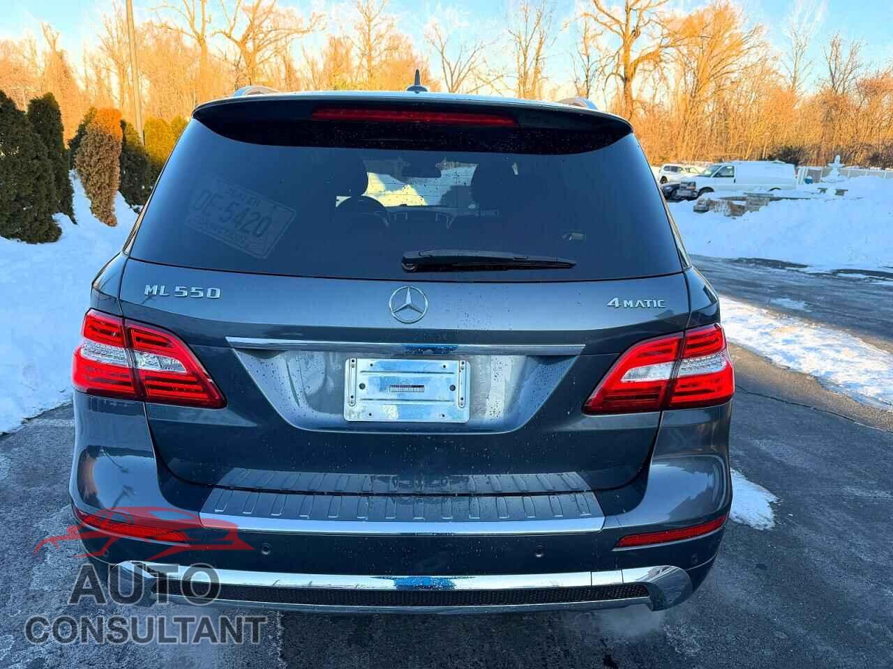 MERCEDES-BENZ M-CLASS 2014 - 4JGDA7DB2EA435649