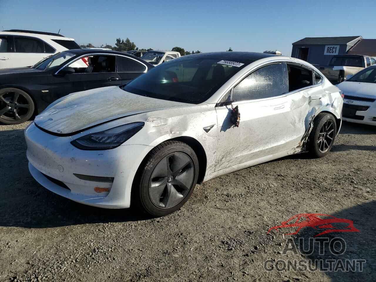 TESLA MODEL 3 2019 - 5YJ3E1EA3KF401388