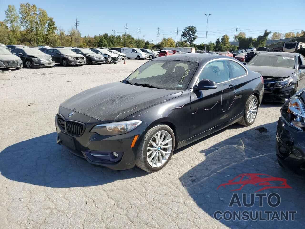 BMW 2 SERIES 2016 - WBA1G9C57GV599145