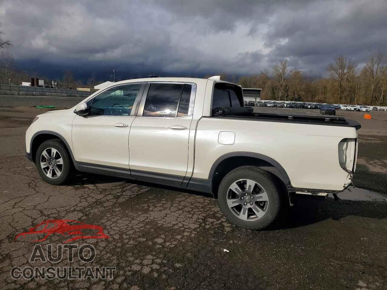 HONDA RIDGELINE 2019 - 5FPYK3F6XKB011237