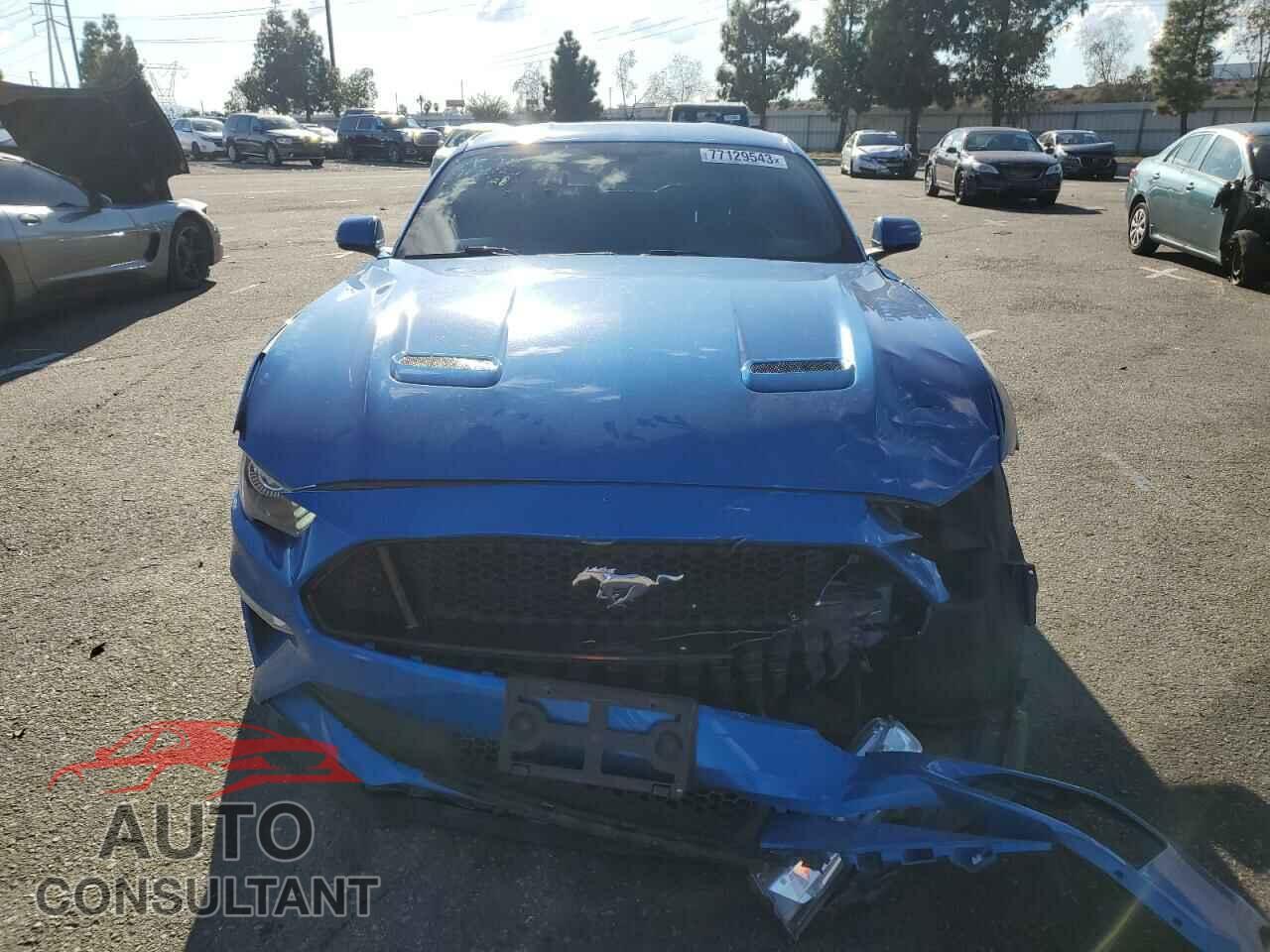 FORD MUSTANG 2019 - 1FA6P8CF4K5110033