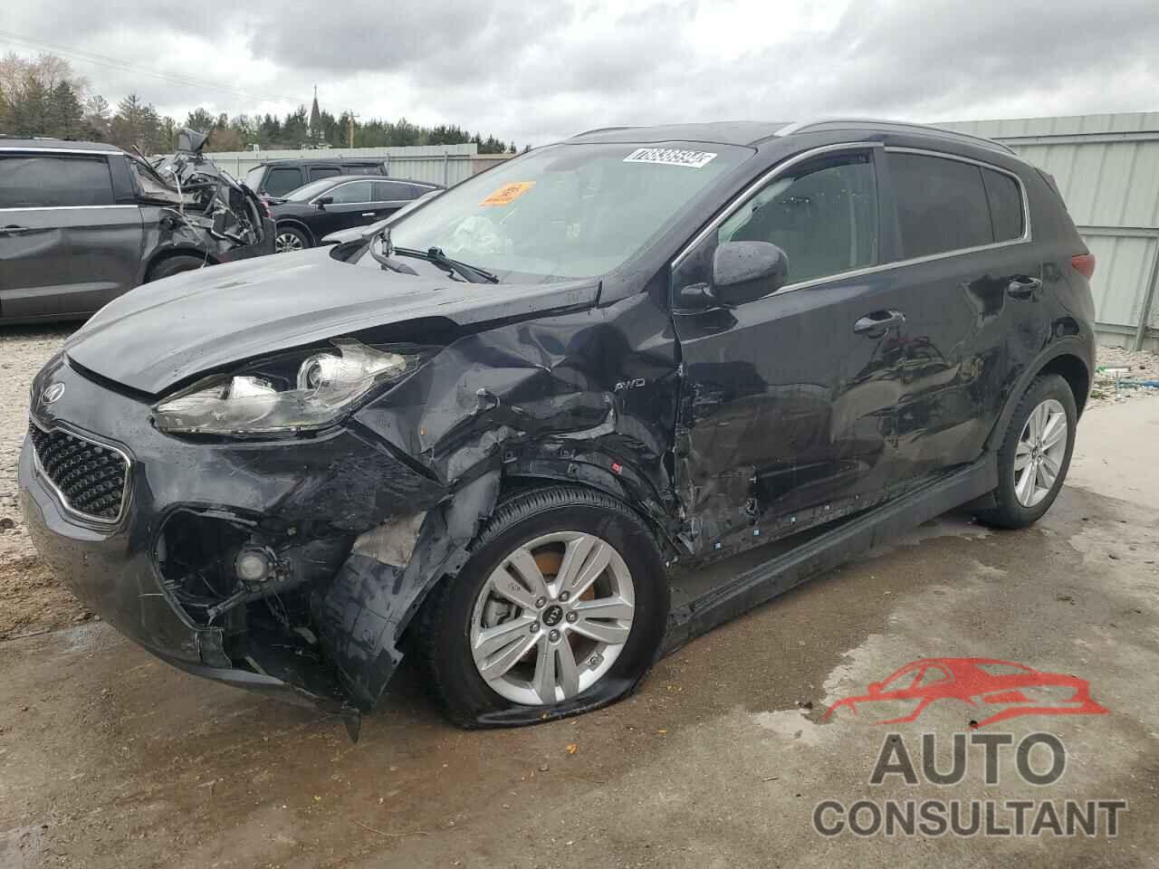 KIA SPORTAGE 2017 - KNDPMCAC5H7113930