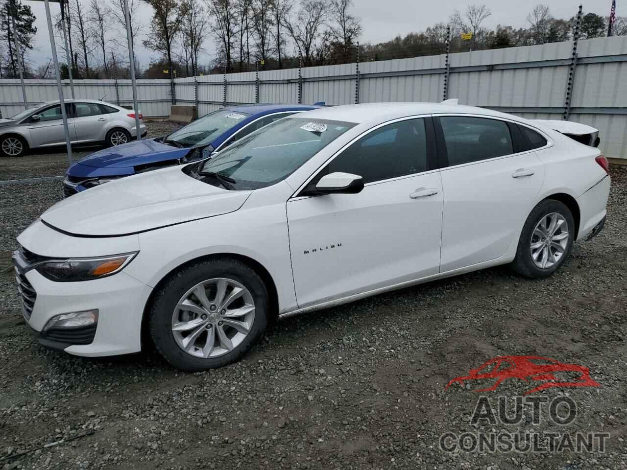 CHEVROLET MALIBU 2019 - 1G1ZD5ST5KF224695