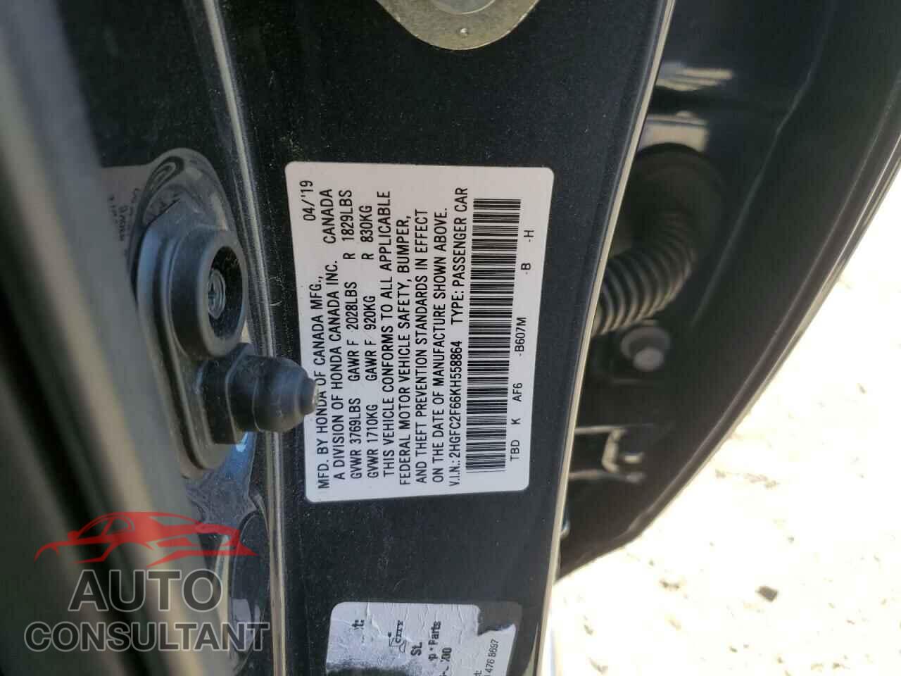 HONDA CIVIC 2019 - 2HGFC2F66KH558864