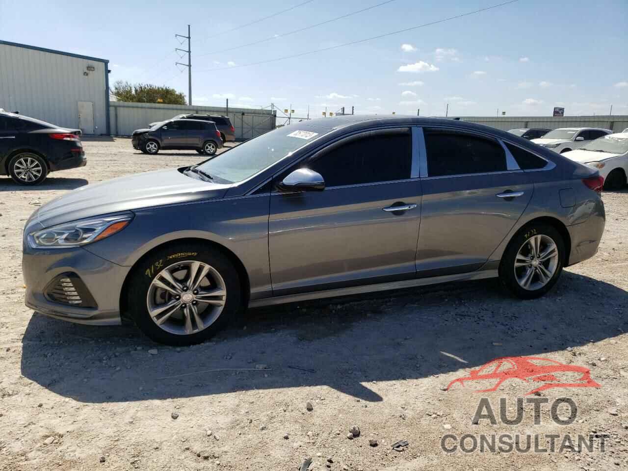 HYUNDAI SONATA 2019 - 5NPE34AF2KH743501