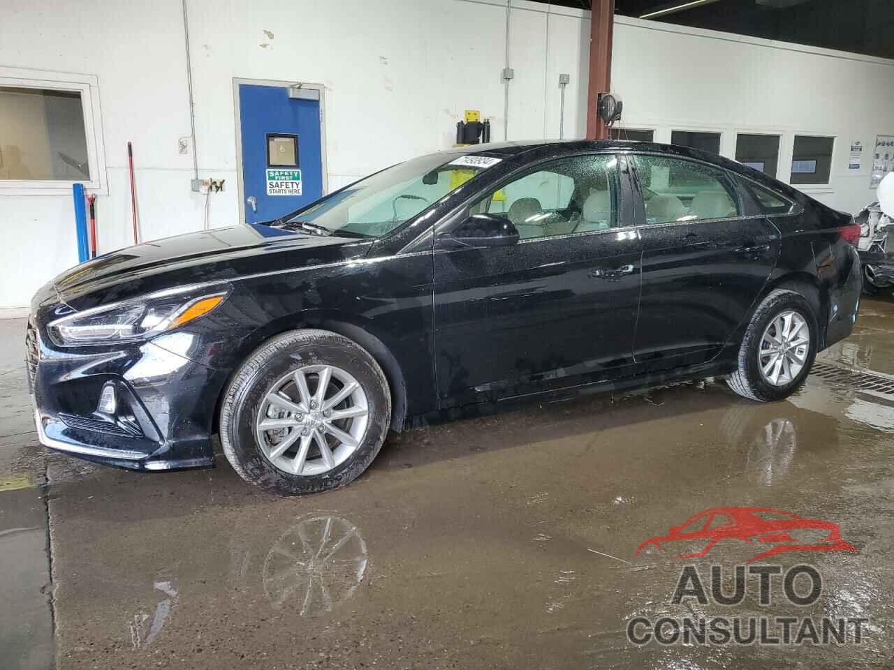 HYUNDAI SONATA 2019 - 5NPE24AF5KH817643