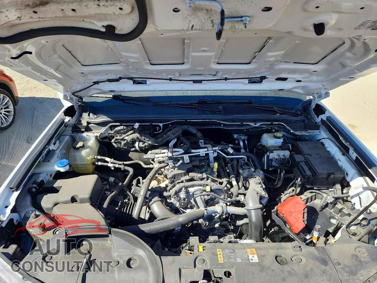 FORD RANGER 2025 - 1FTER4BH0SLE19084