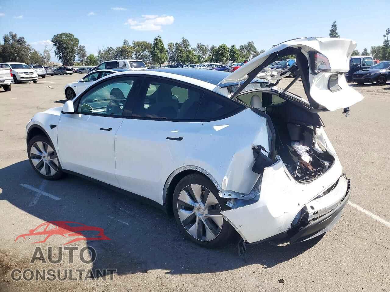 TESLA MODEL Y 2022 - 7SAYGDEE5NF442570