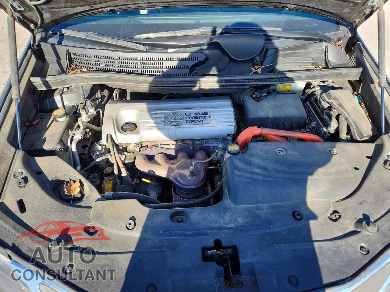 LEXUS HS 2010 - JTHBB1BA3A2001212