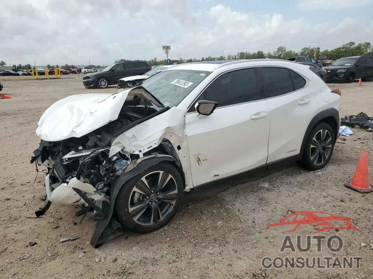 LEXUS UX 250H 2019 - JTHU9JBH7K2000583