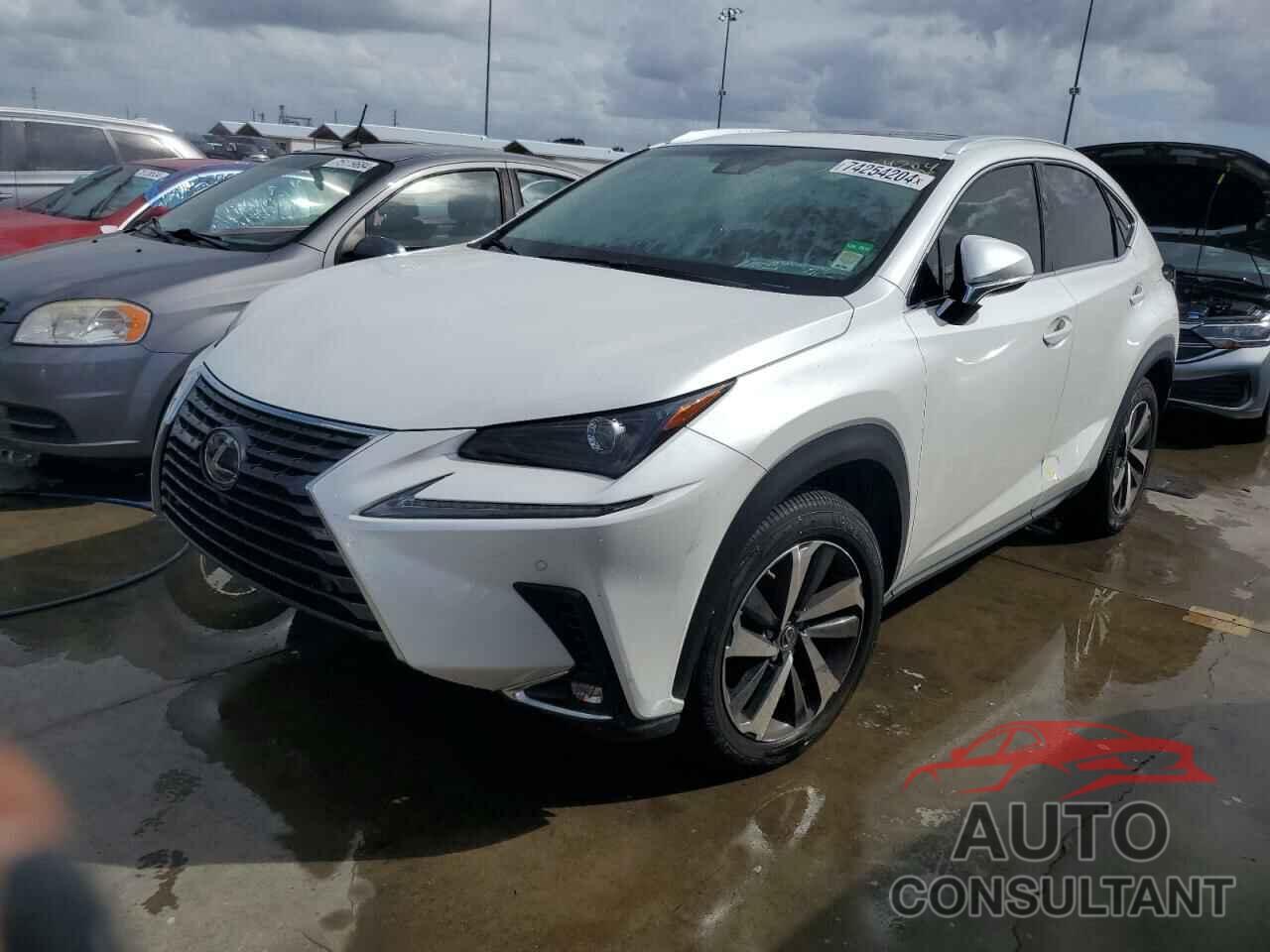 LEXUS NX 2019 - JTJYARBZ3K2130732