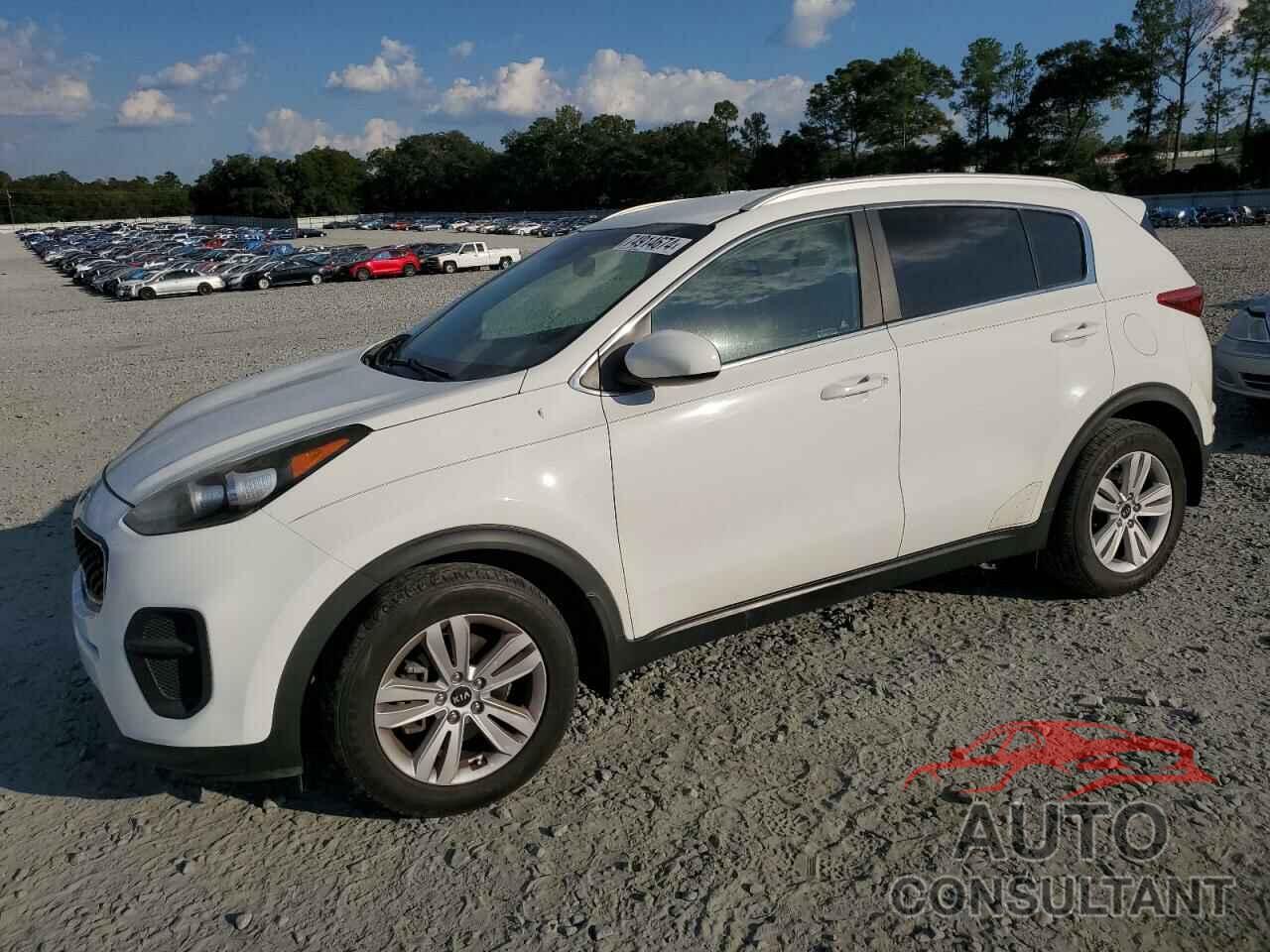 KIA SPORTAGE 2017 - KNDPM3AC7H7247161