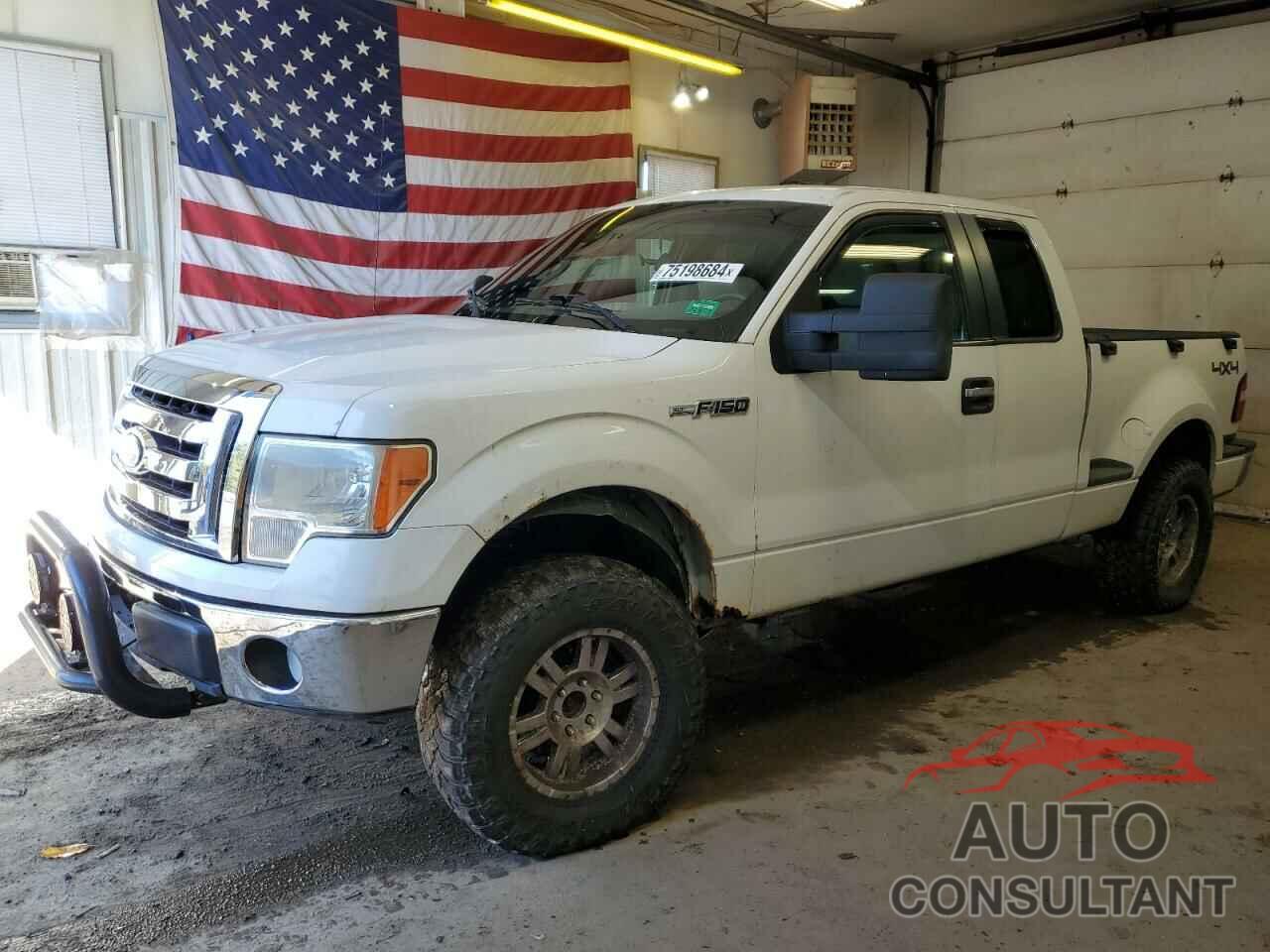 FORD F-150 2009 - 1FTRX04809KC51024