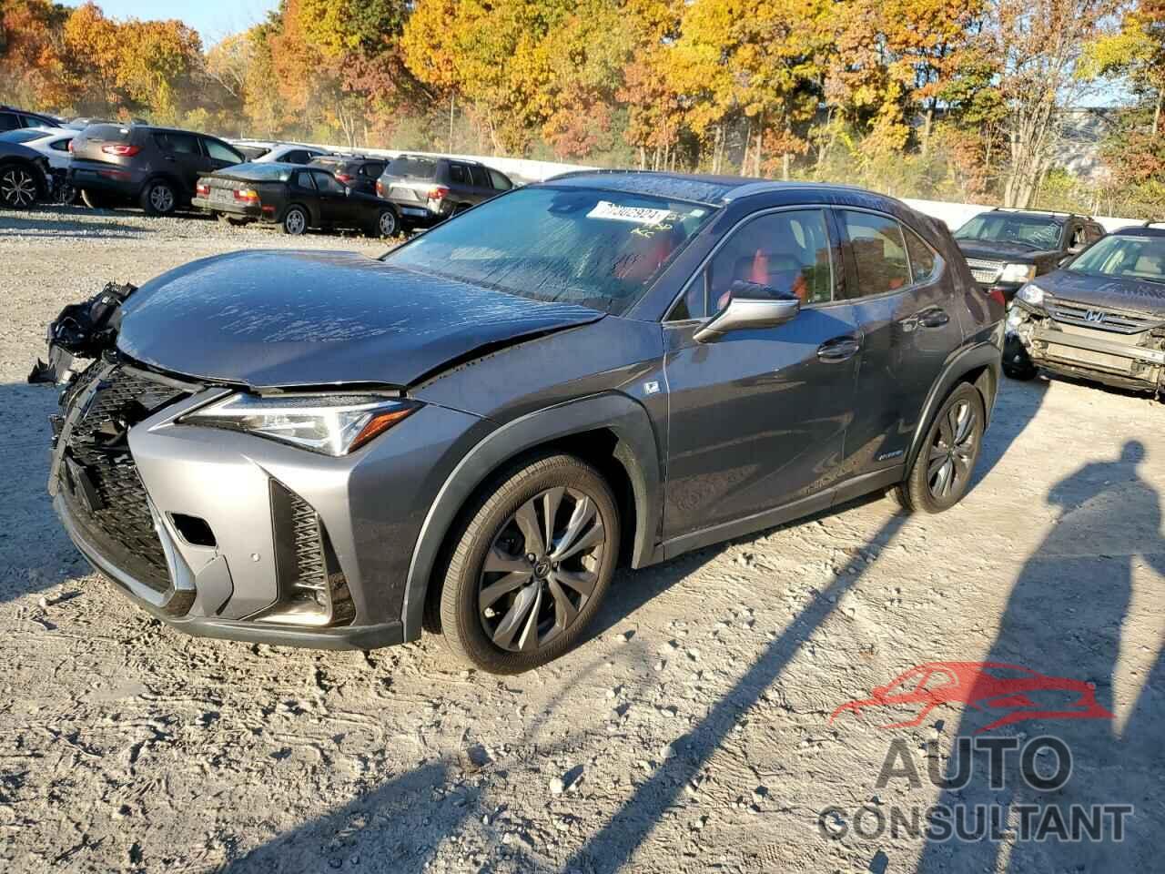 LEXUS UX 250H 2019 - JTHU9JBH4K2009631