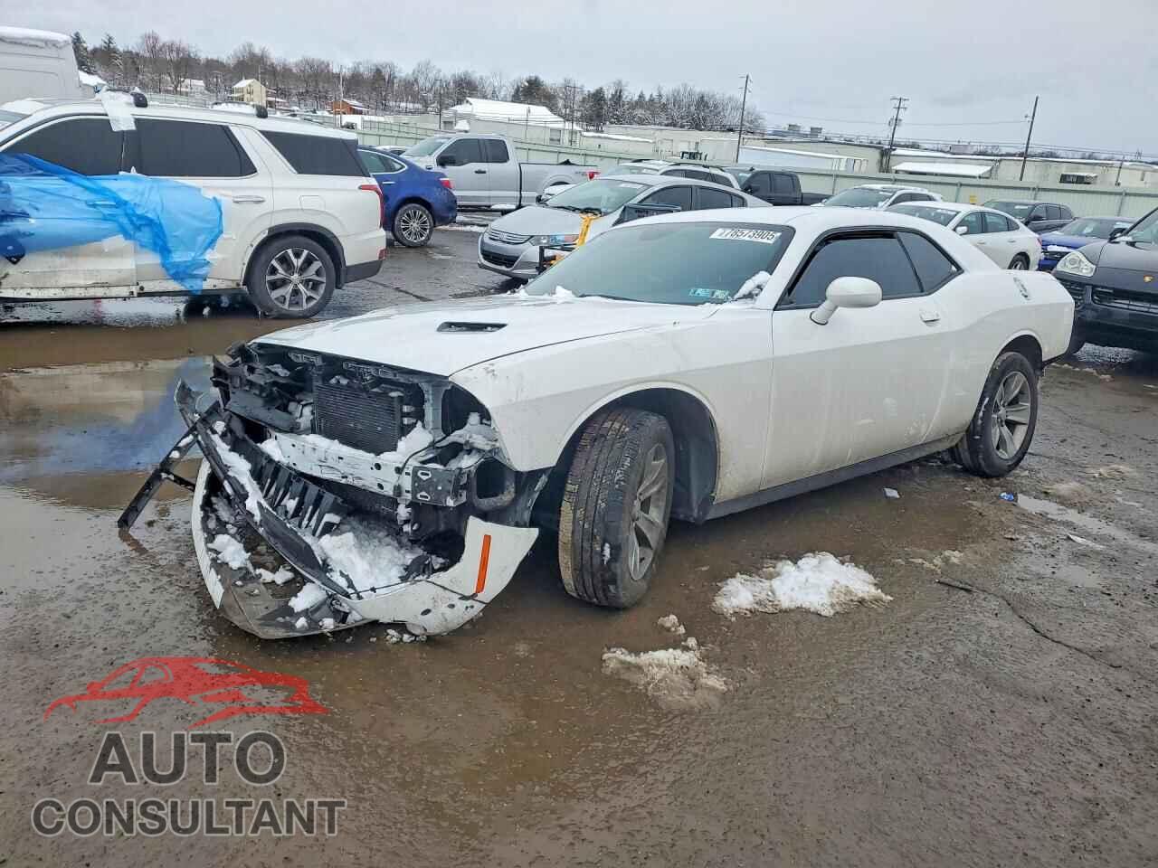 DODGE CHALLENGER 2019 - 2C3CDZAG6KH524659