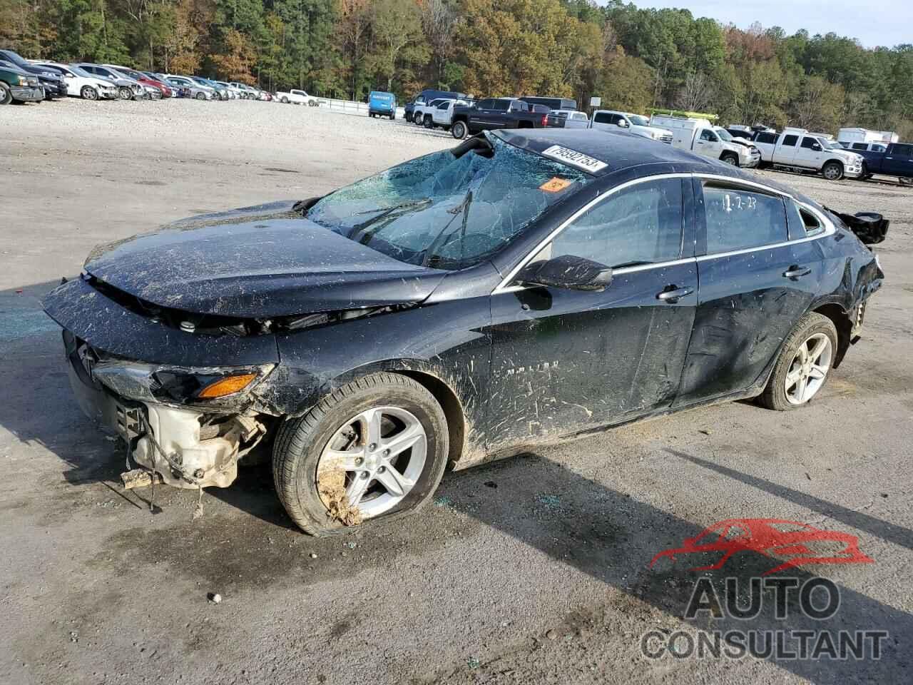 CHEVROLET MALIBU 2019 - 1G1ZB5ST8KF182268