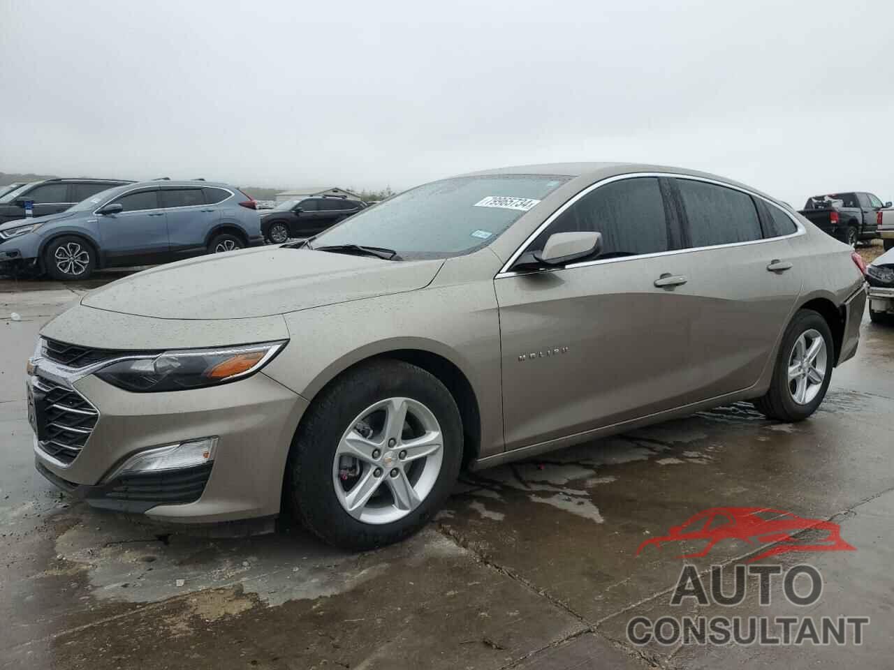 CHEVROLET MALIBU 2024 - 1G1ZB5ST4RF208567