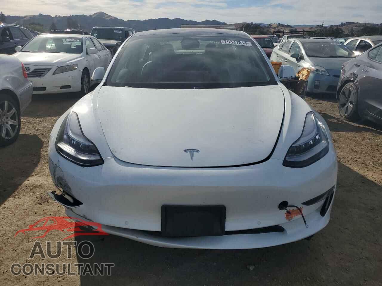 TESLA MODEL 3 2020 - 5YJ3E1EB5LF619231