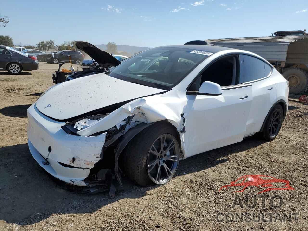 TESLA MODEL Y 2024 - 7SAYGDEE9RF186598