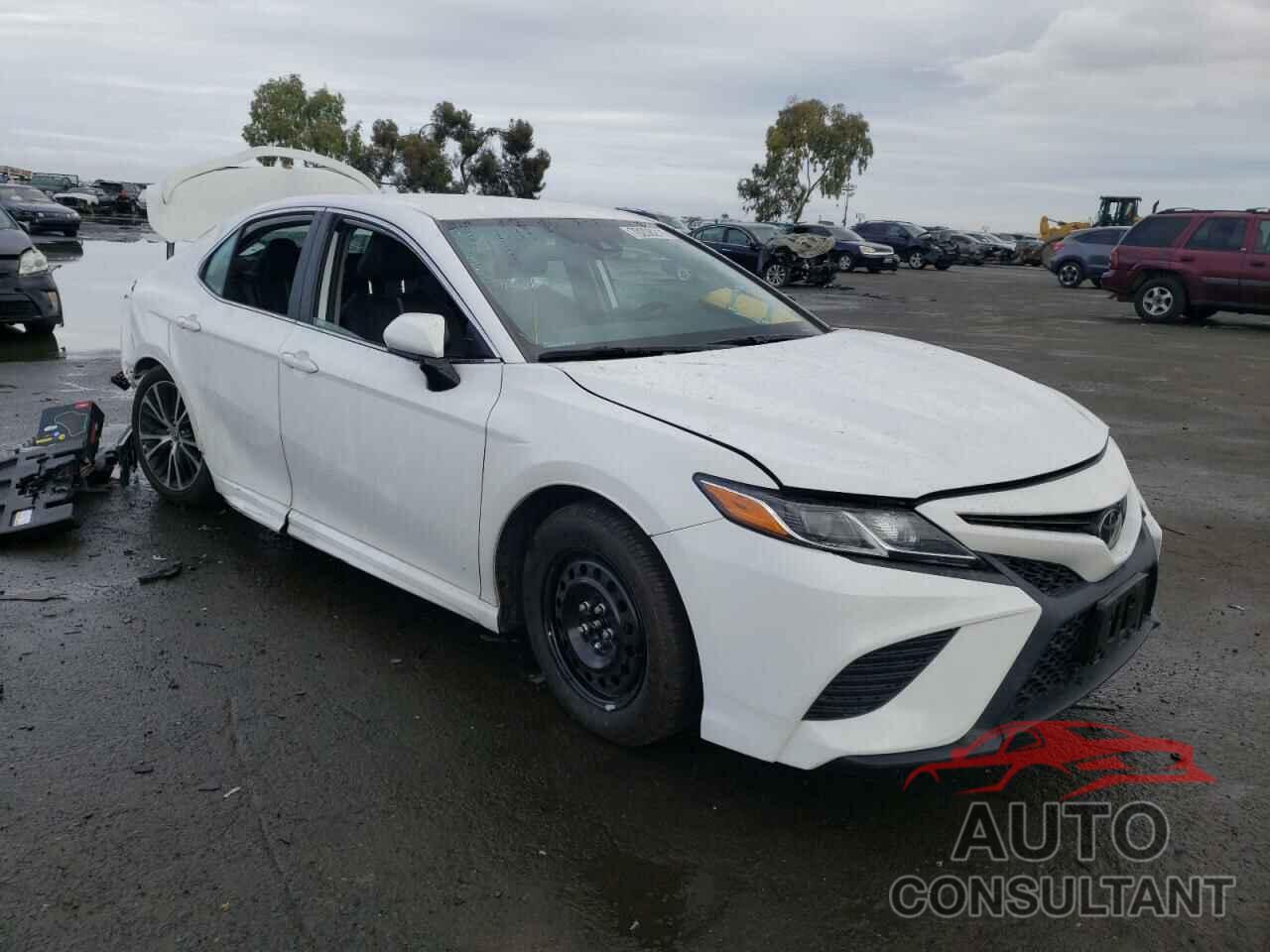 TOYOTA CAMRY 2019 - 4T1B11HK2KU744403