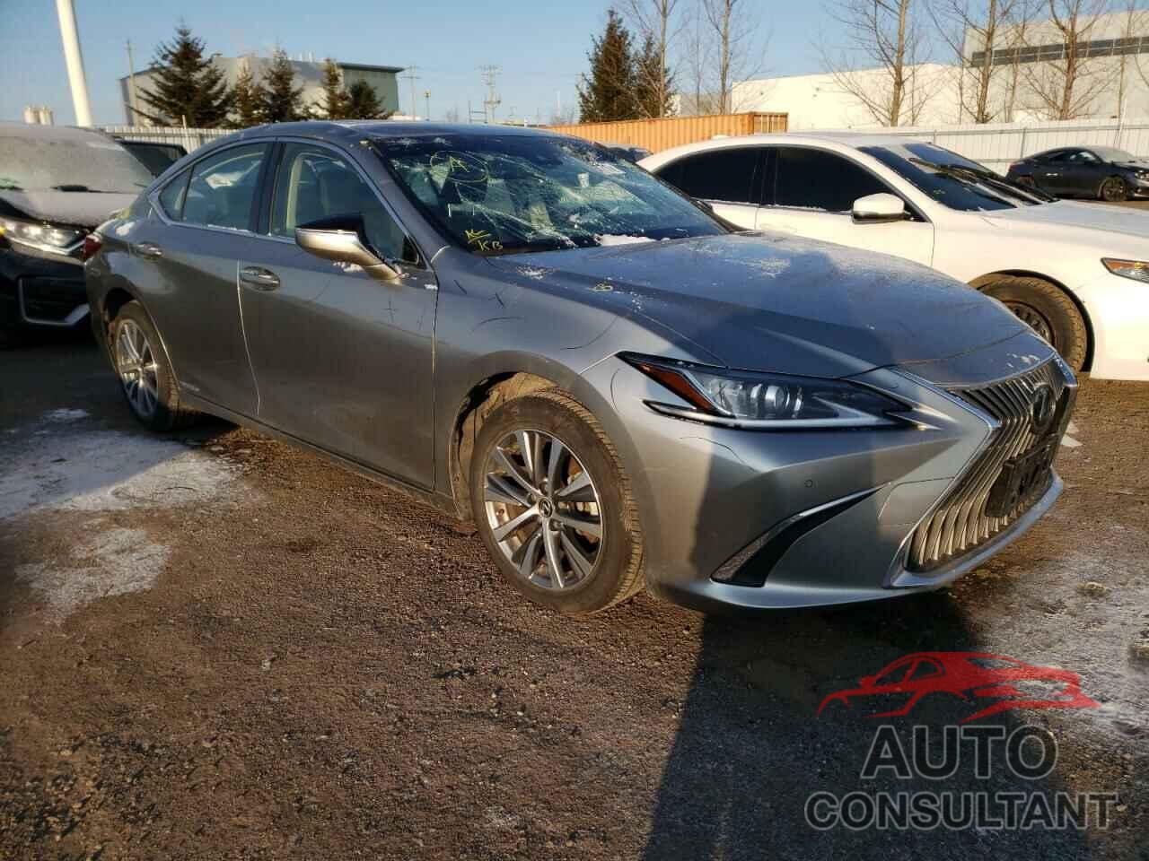 LEXUS ES300 2019 - JTHB21B17K2008441