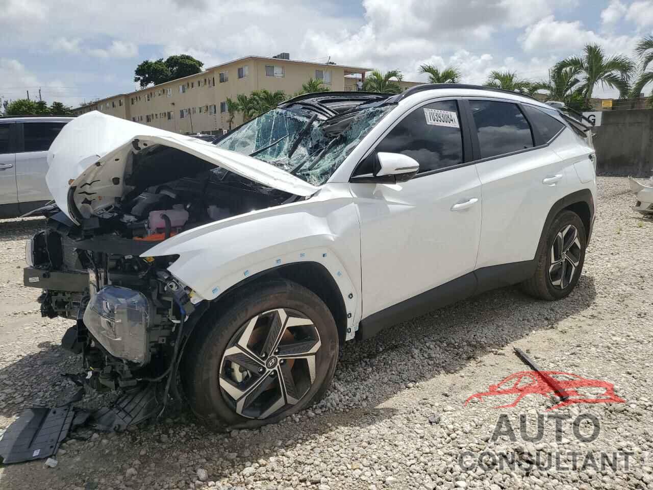 HYUNDAI TUCSON 2024 - KM8JCCD13RU213686