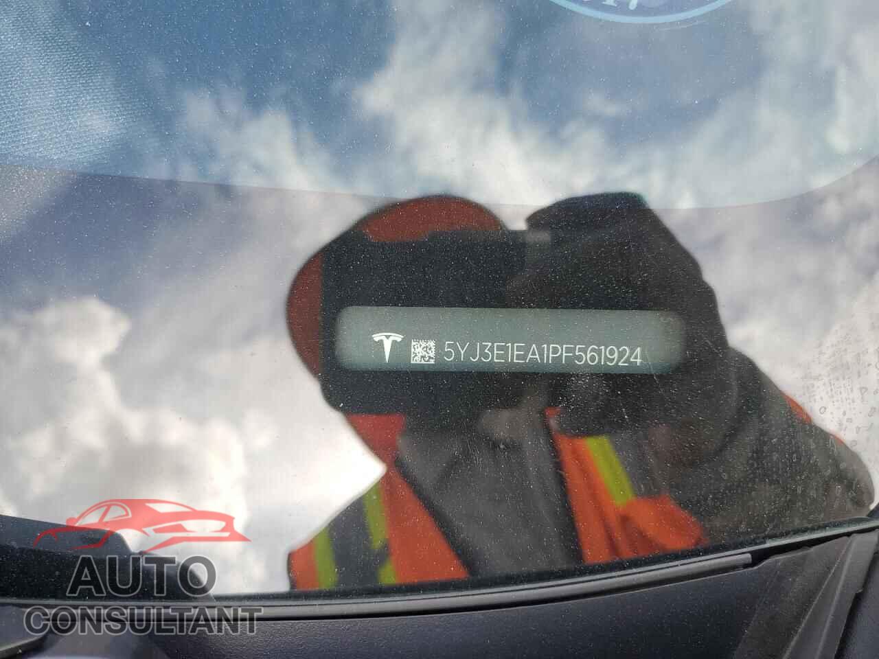 TESLA MODEL 3 2023 - 5YJ3E1EA1PF561924
