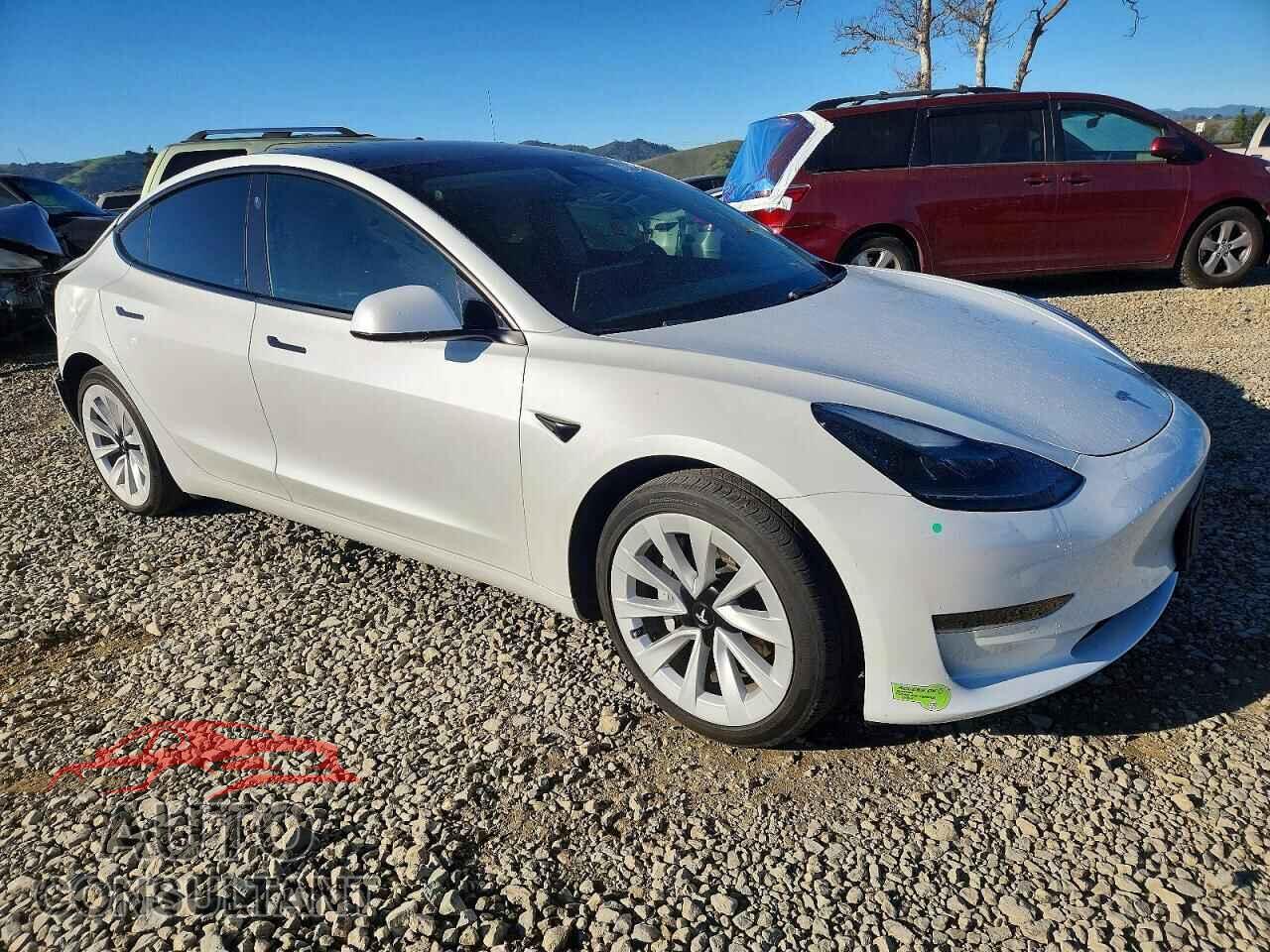 TESLA MODEL 3 2021 - 5YJ3E1EA3MF077183