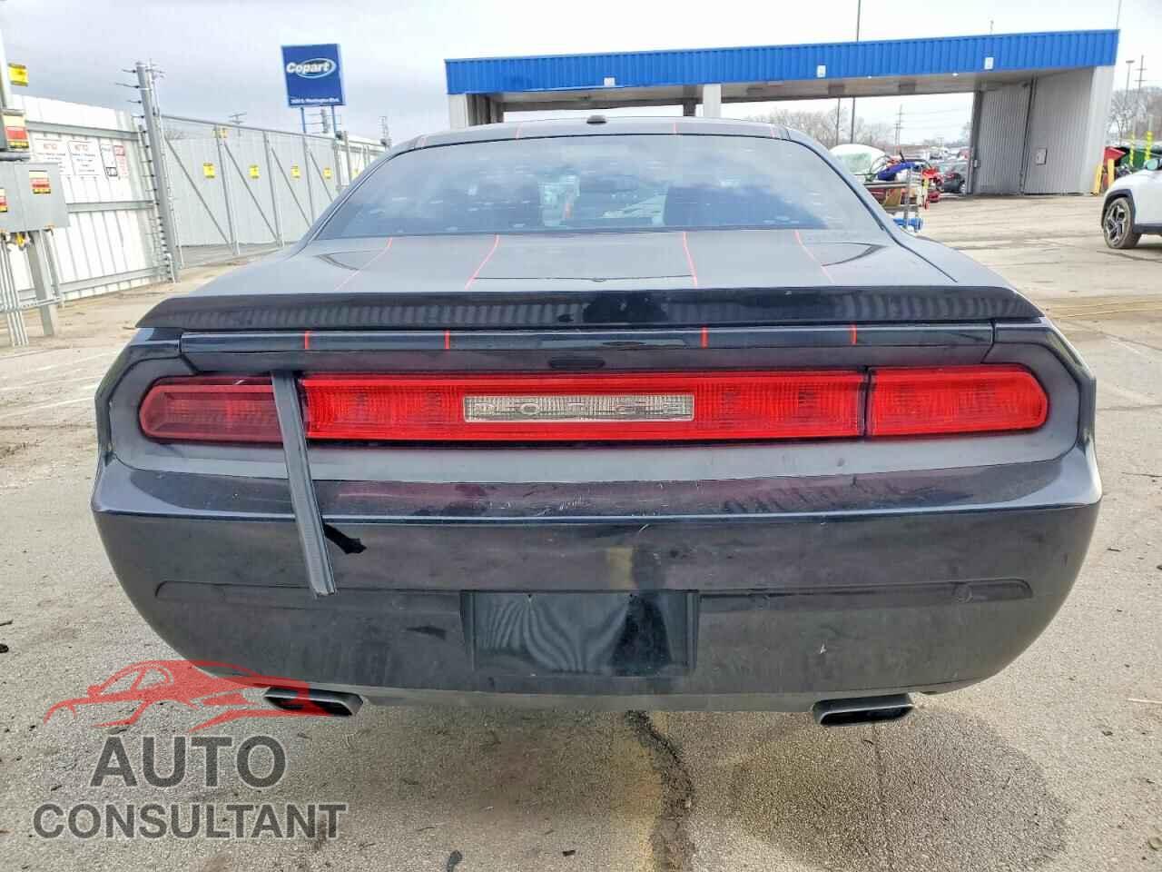 DODGE CHALLENGER 2013 - 2C3CDYBT5DH605001