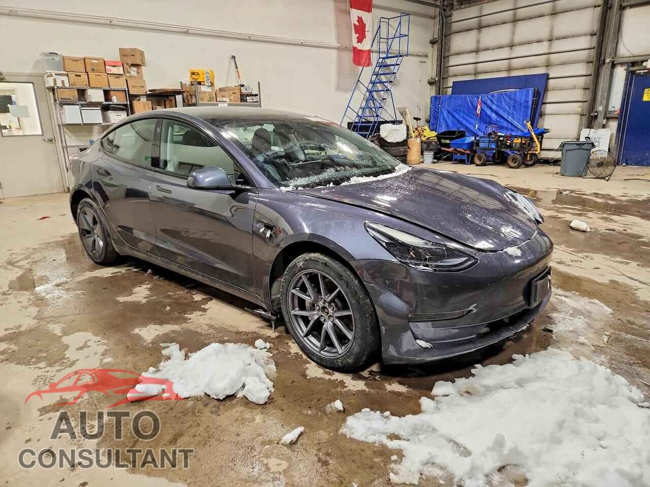 TESLA MODEL 3 2023 - LRW3E1EBXPC924868