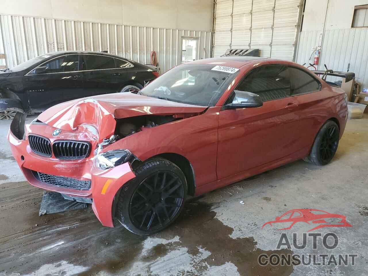 BMW 2 SERIES 2016 - WBA1F9C59GV545820