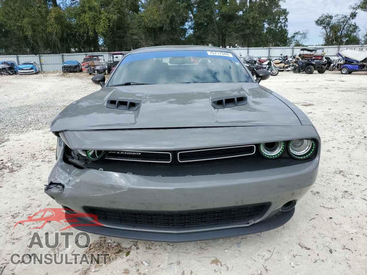 DODGE CHALLENGER 2019 - 2C3CDZAG3KH618336