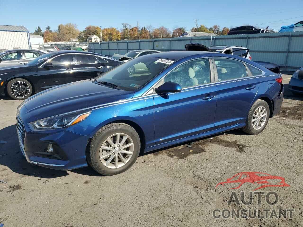 HYUNDAI SONATA 2019 - 5NPE24AF3KH816958